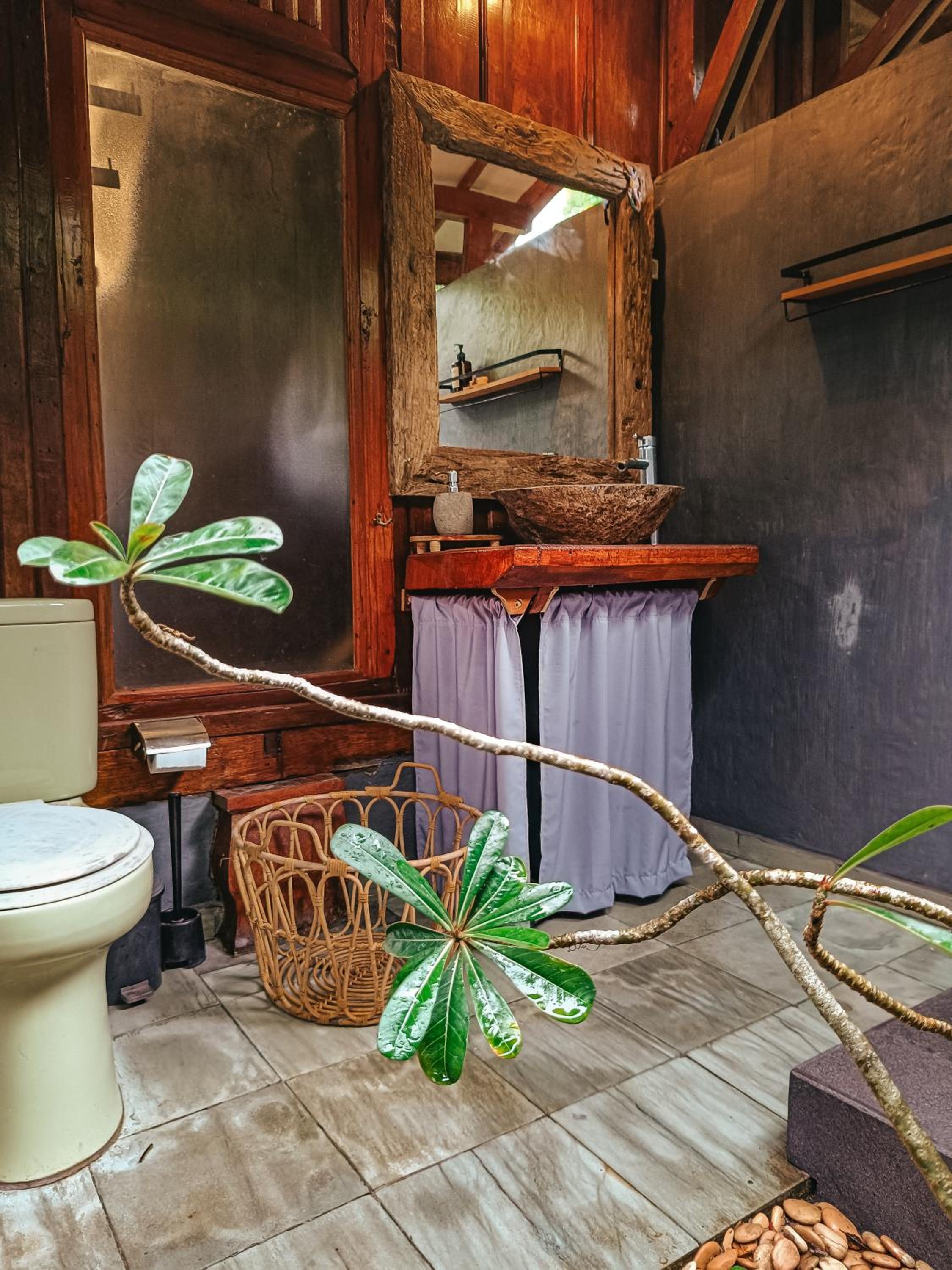 Alaya Ecolodge