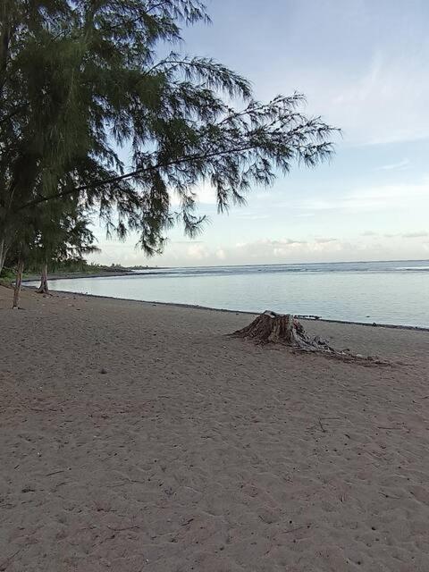 Leu doux bruit des vagues view 2
