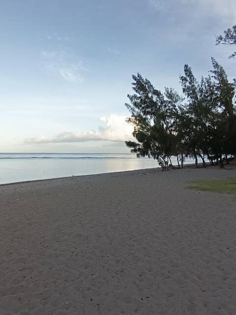 Leu doux bruit des vagues view 3