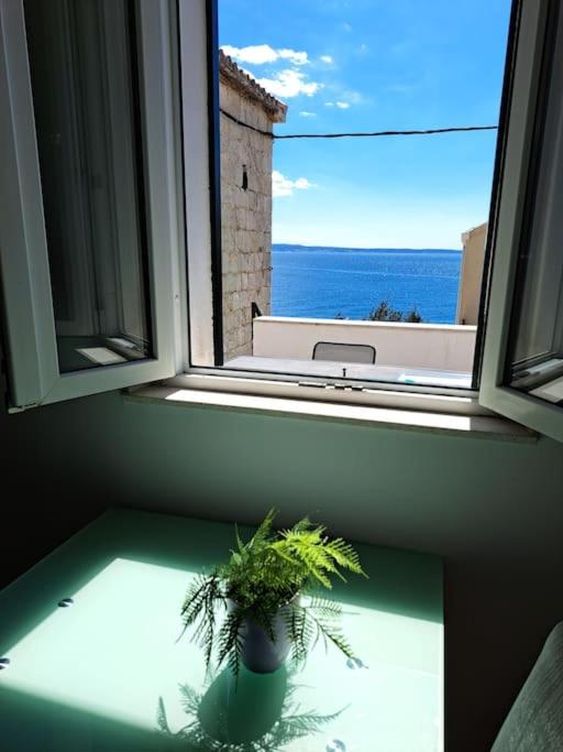 MARIO-50m FROM THE BEACH,TERRACE WITH SEA VIEW! view 3