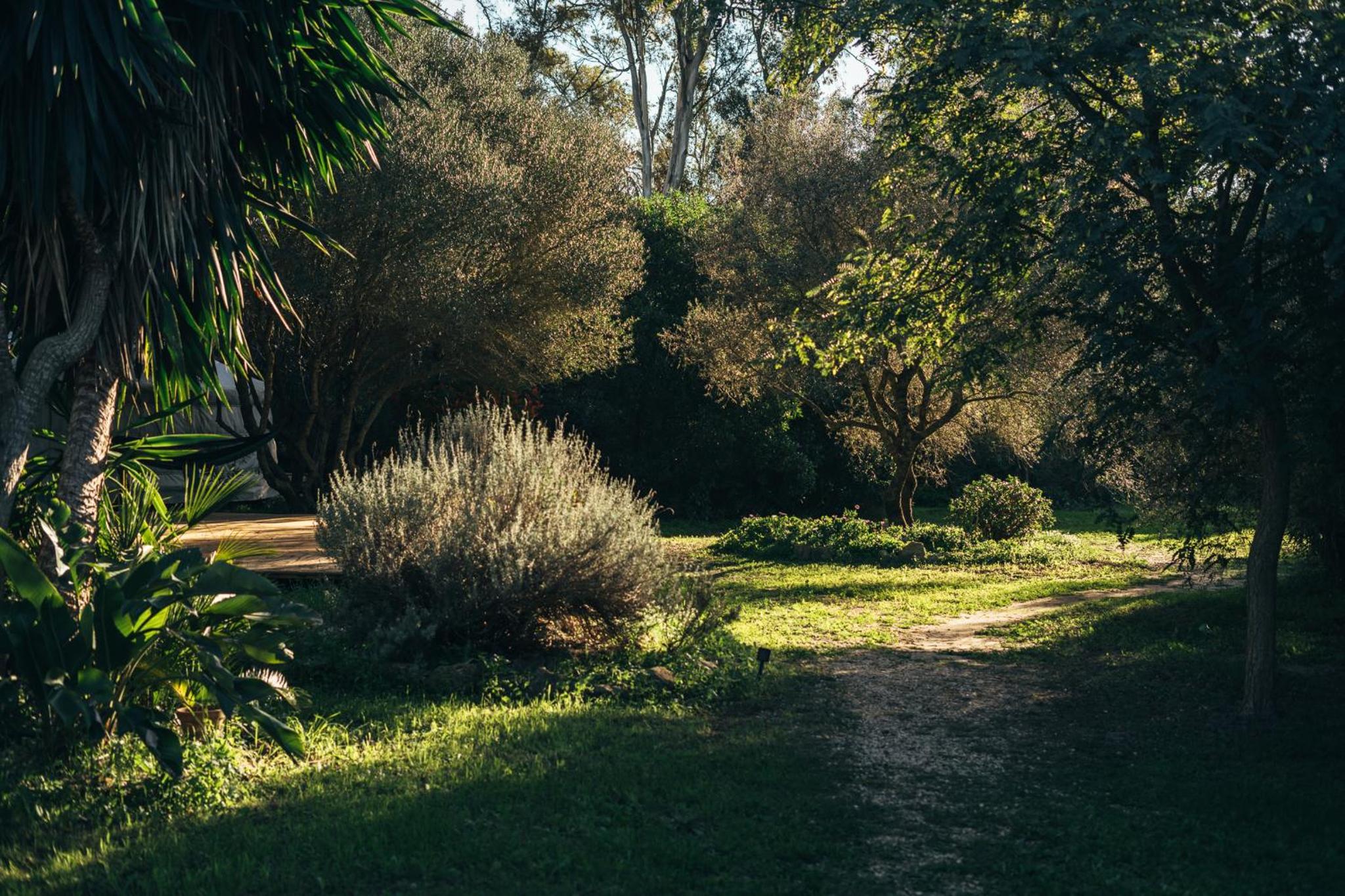 La Veleta Cádiz