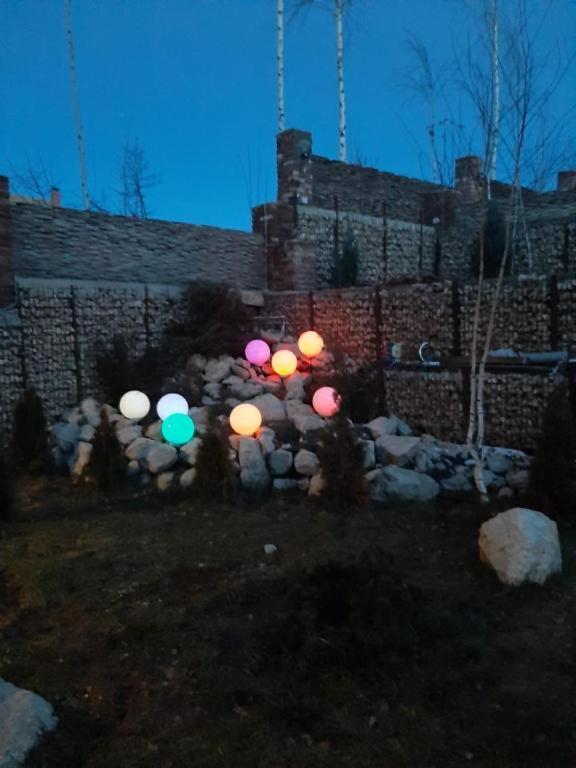 Casa cu mesteceni view 2