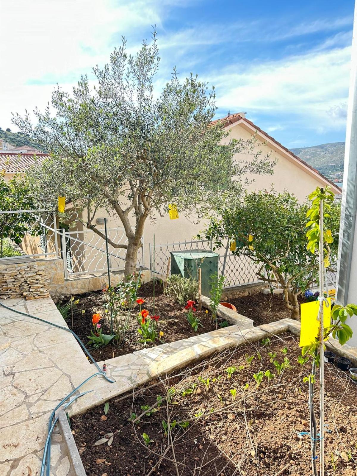 Levanda