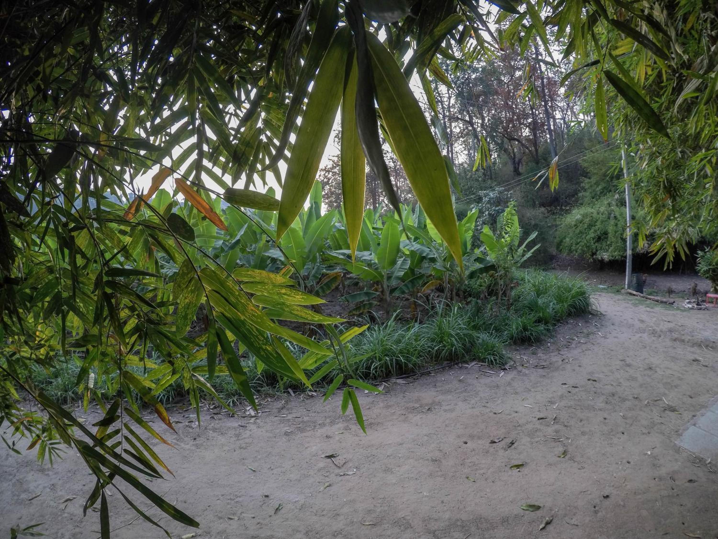 Rancho Farmstay