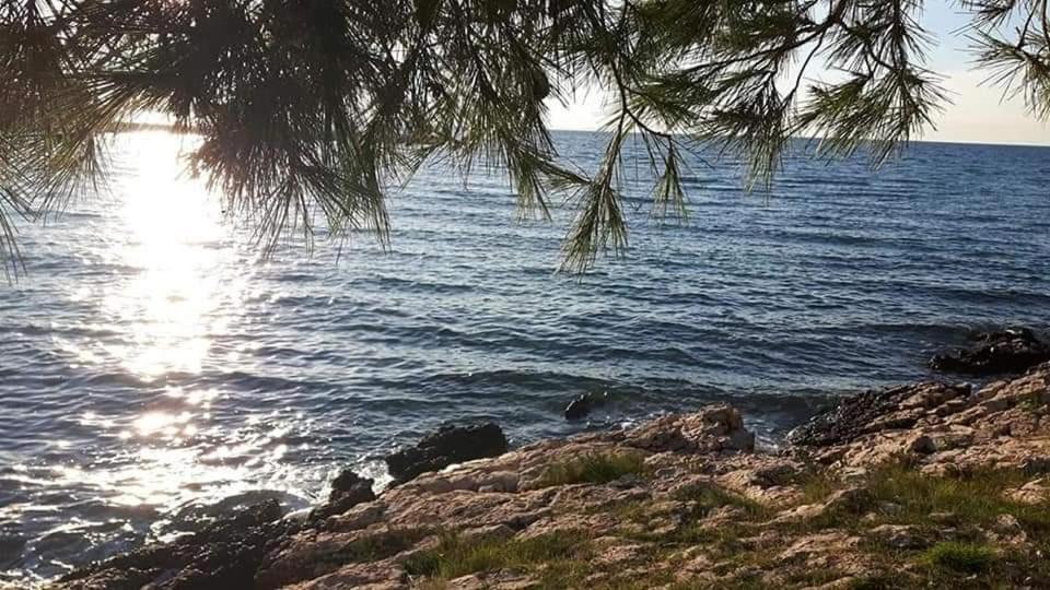 Apartmani Karla