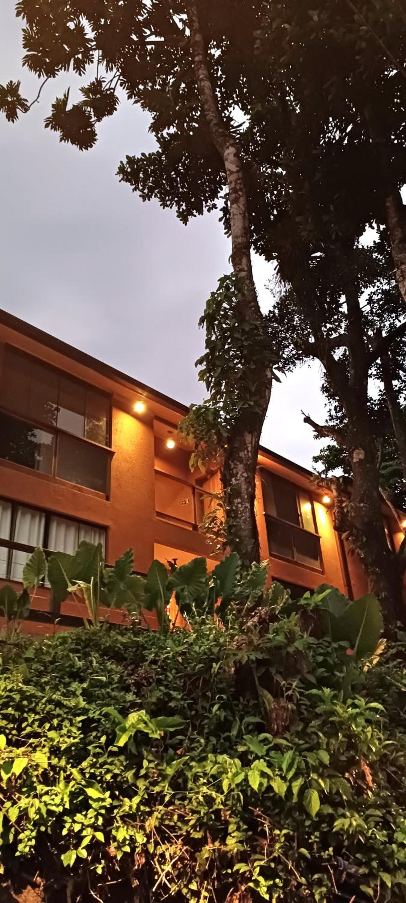 Loft da Figueira, Abraão Ilha Grande.