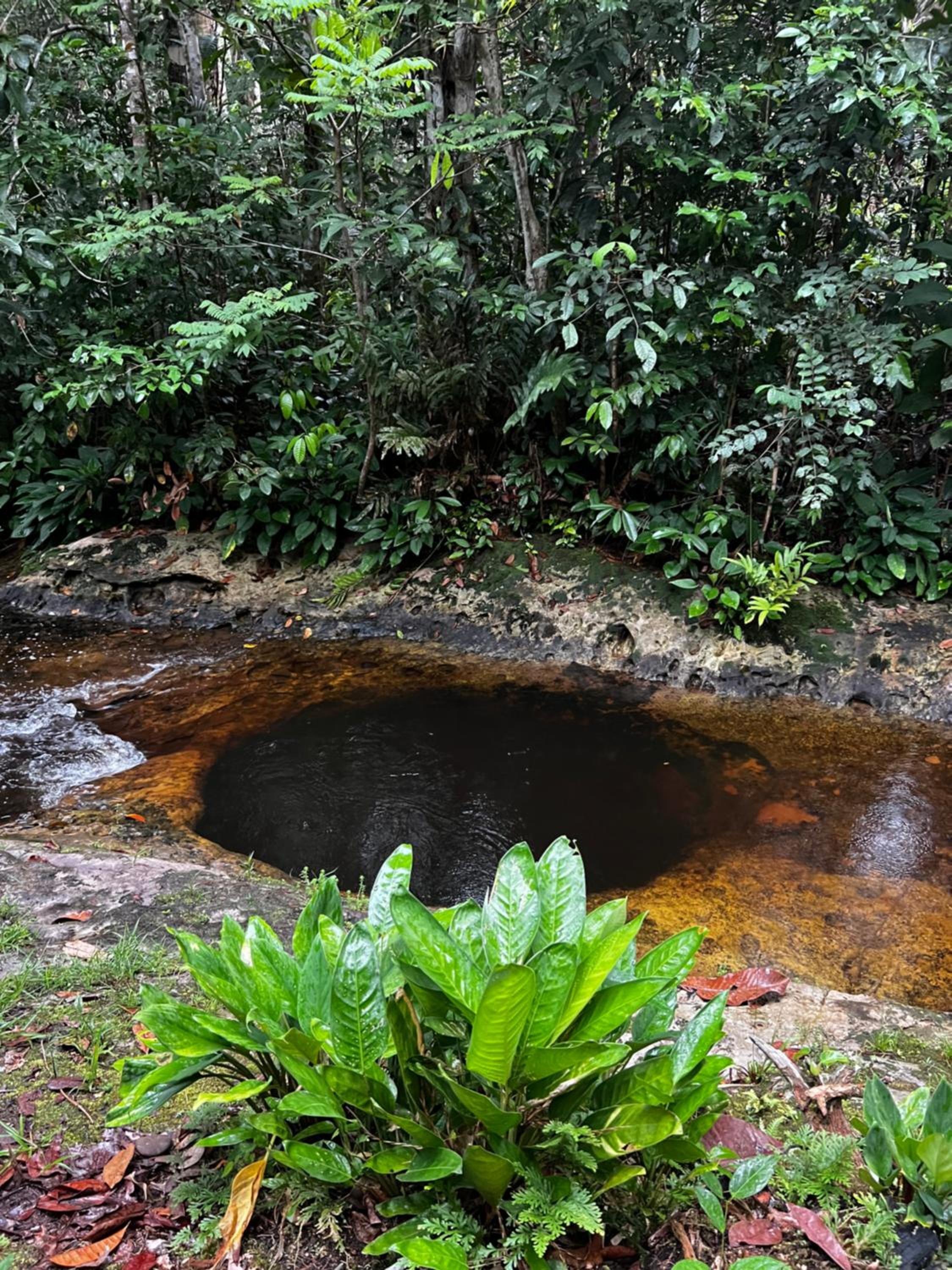 Pousada Paraíso do Calango Azul