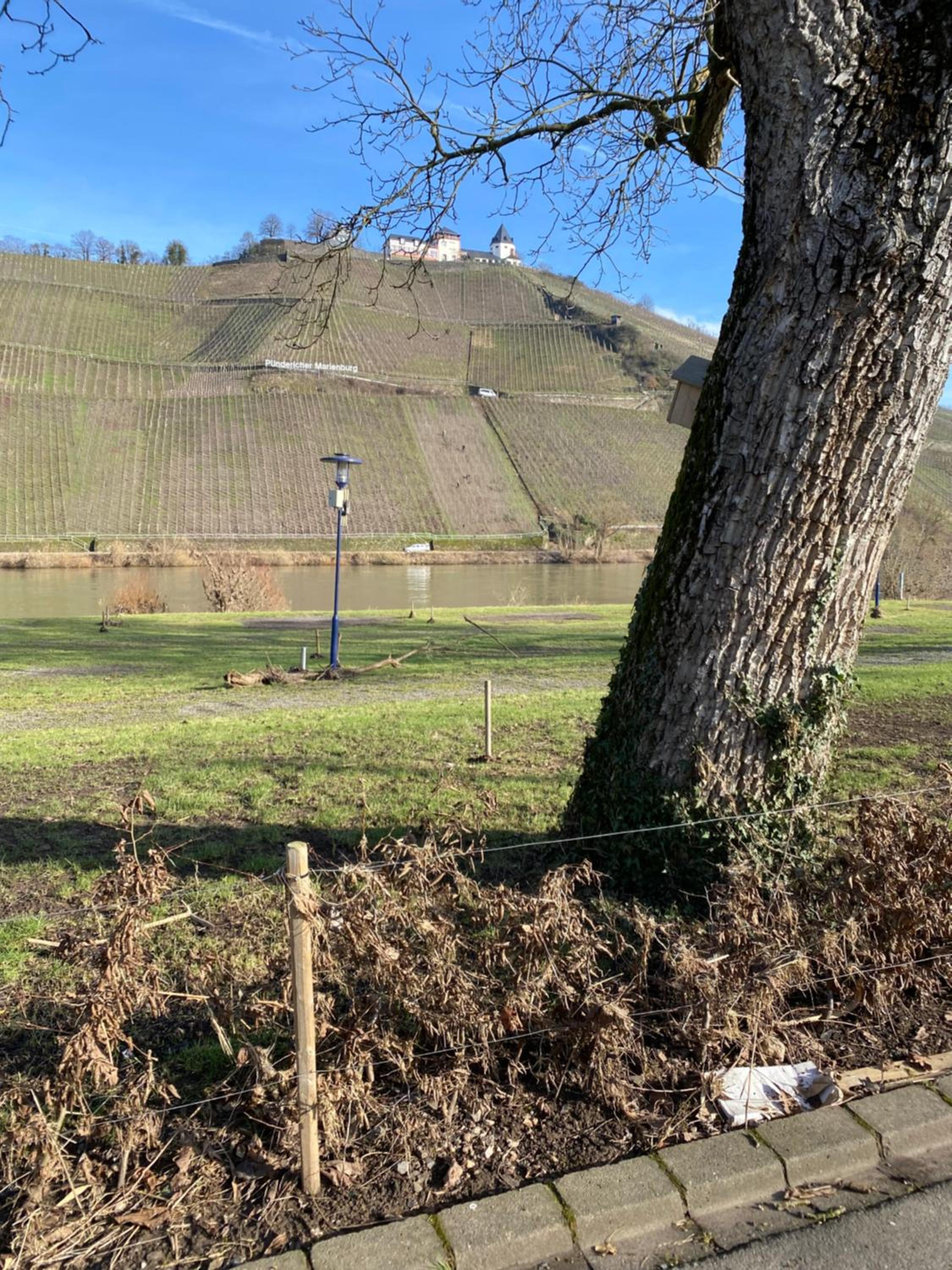 Ferienwohnung Rockenbach