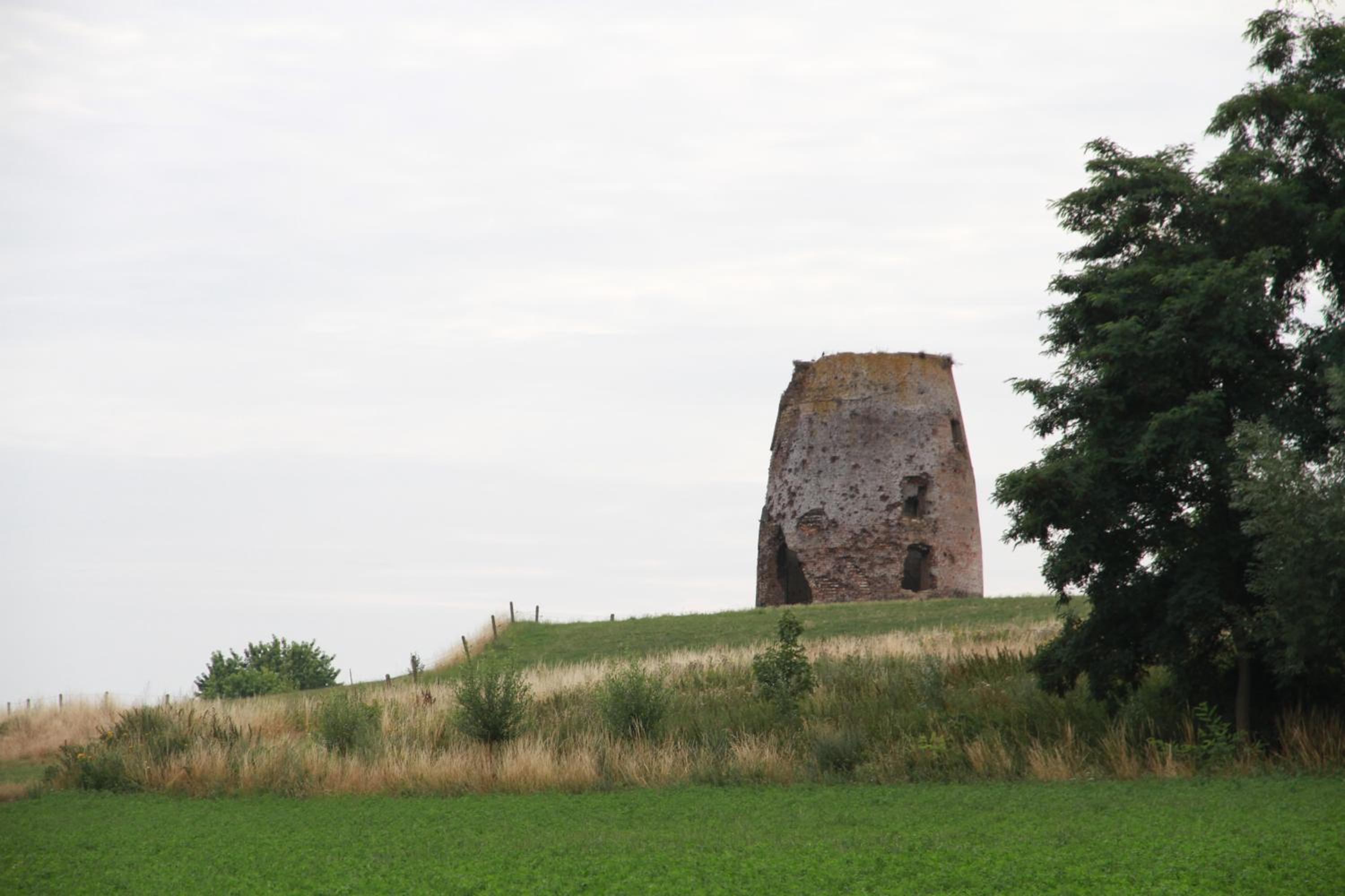 Terre d'Ô