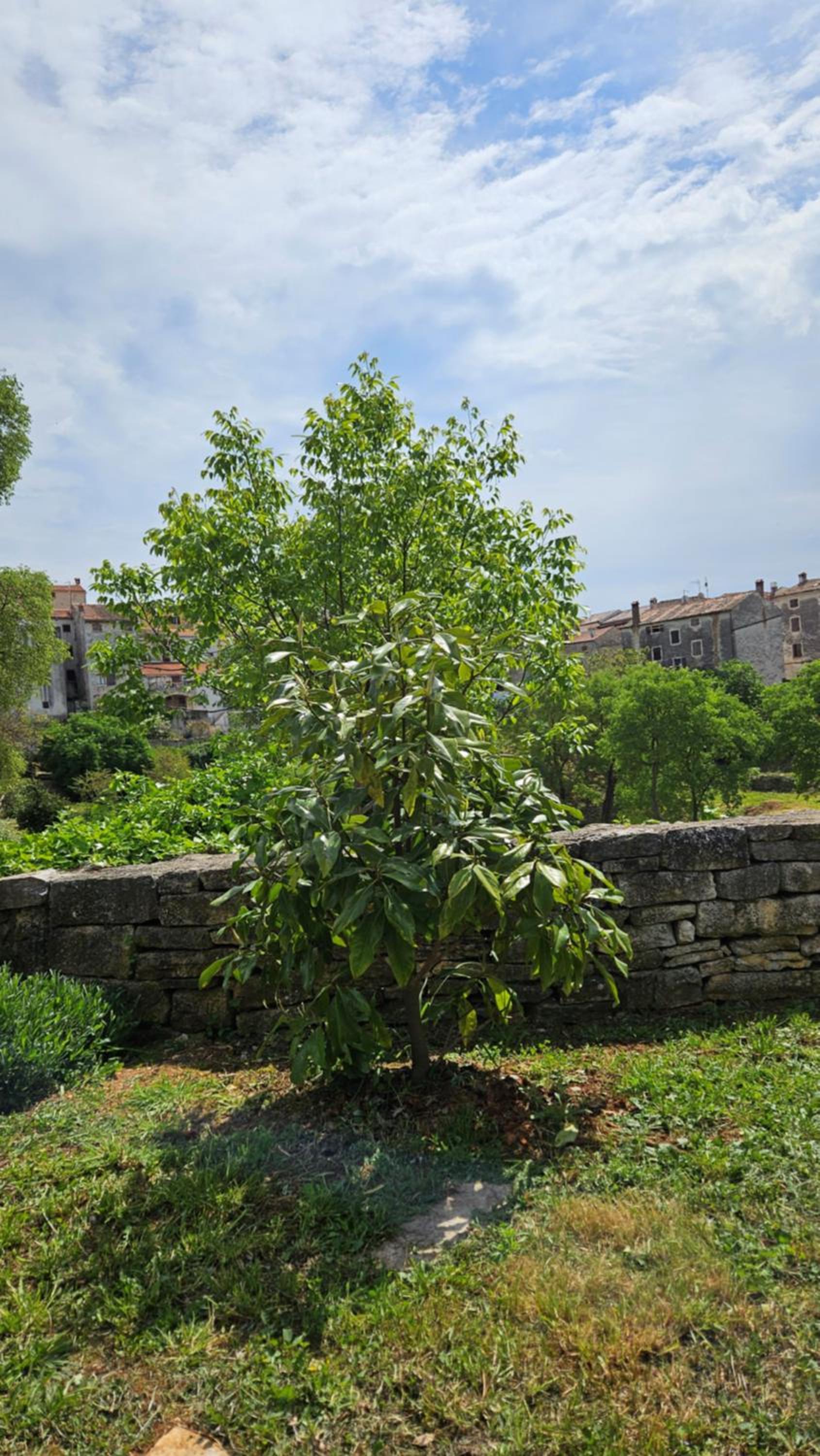 Apartment Dulcis Domus en Bale — other