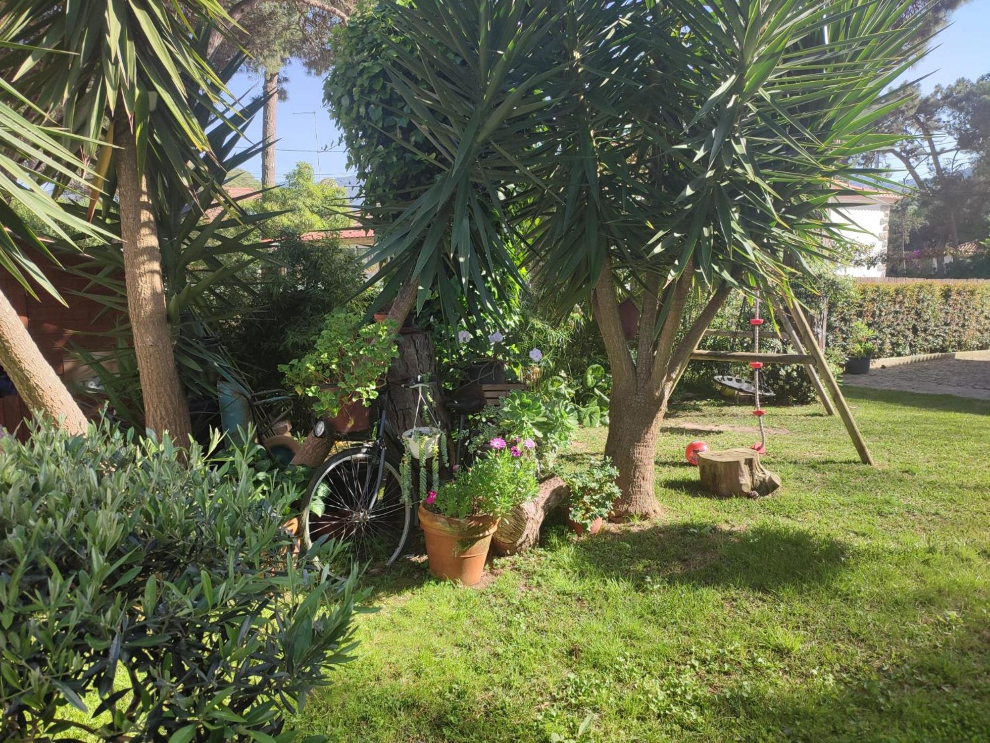 Casinha do pinhal view 5