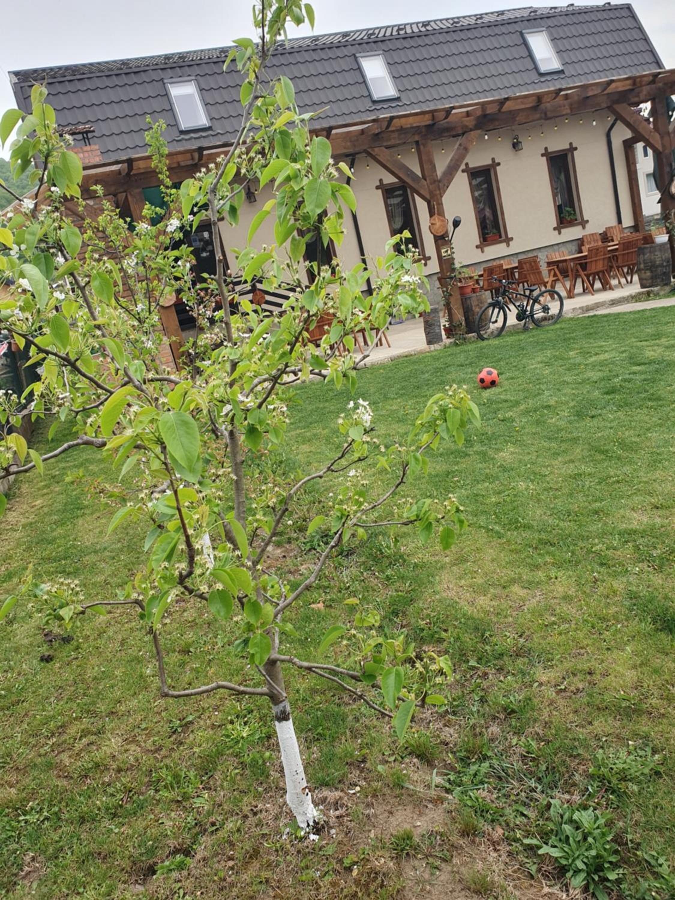 Photo 46