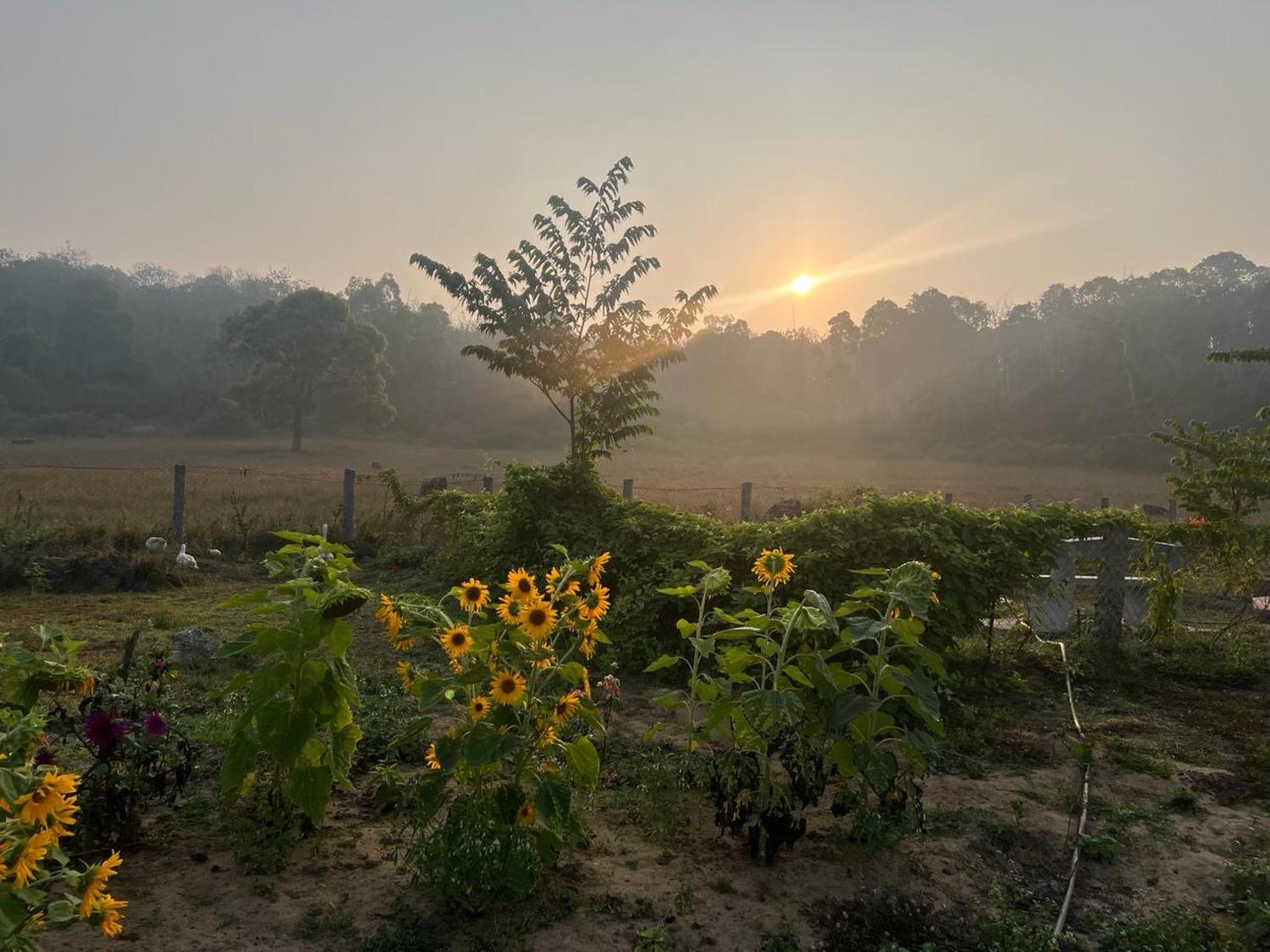 Deer Meadows view 5