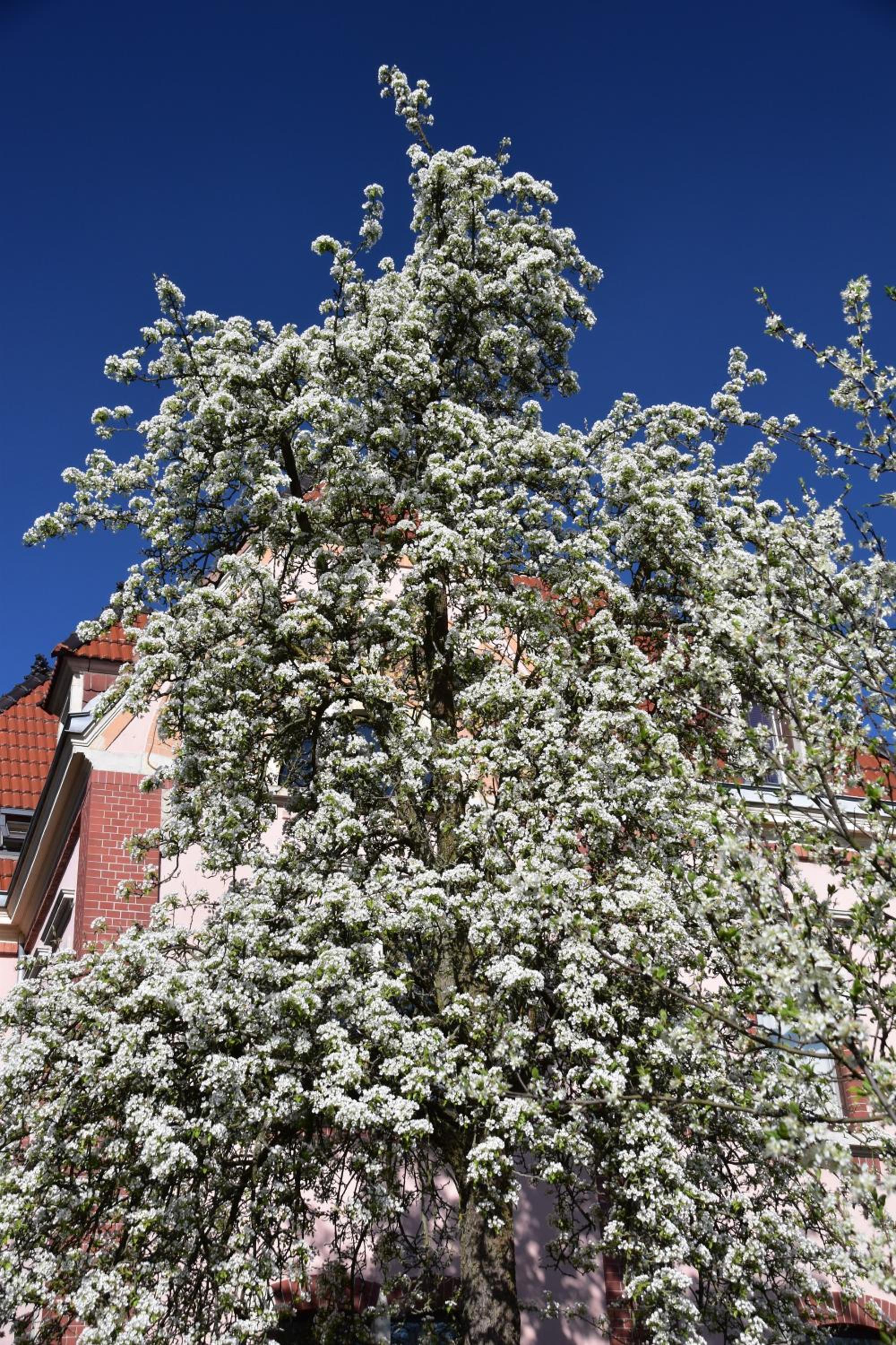 Ferienwohnung und Pension 
