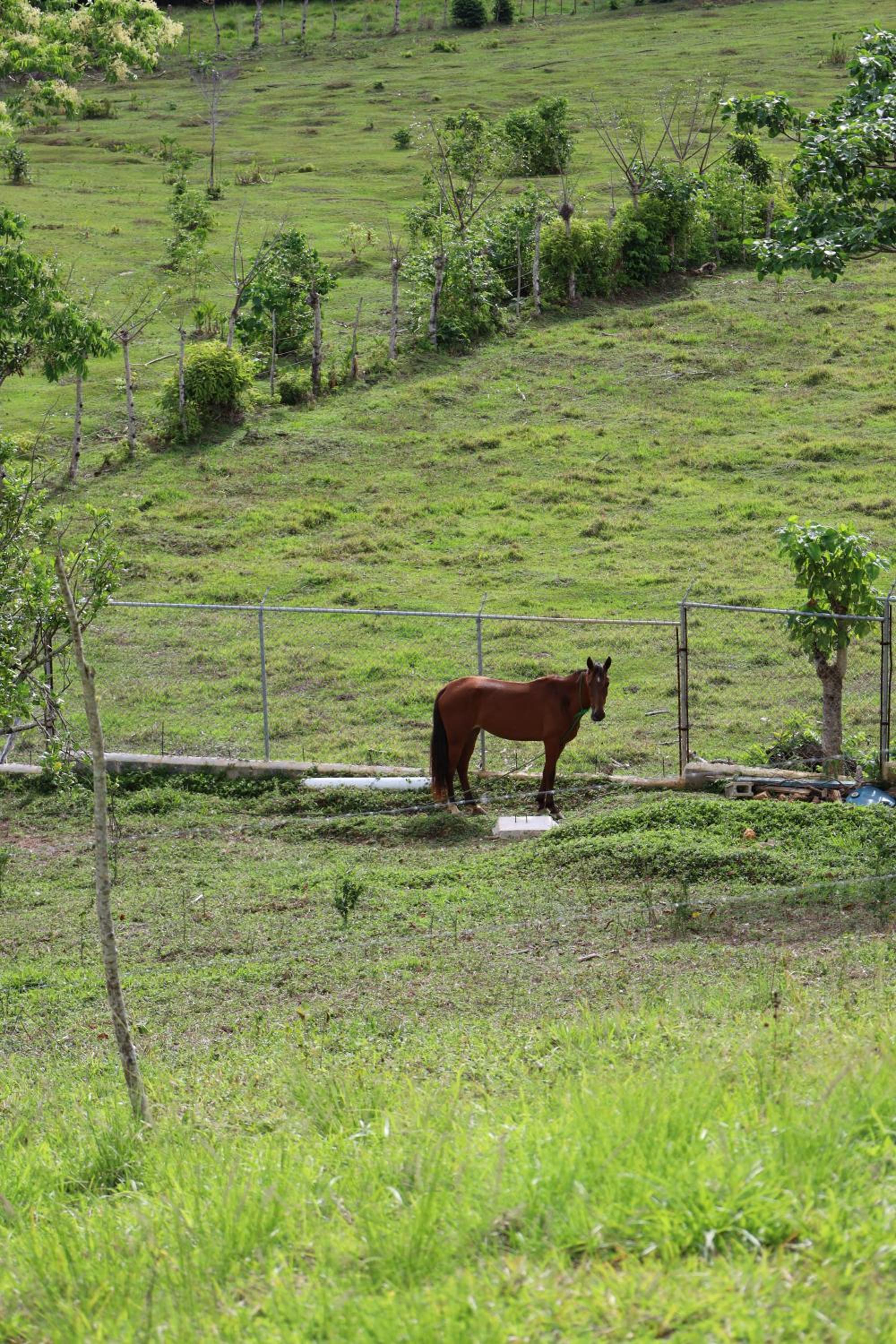 Margarita Ecovillage