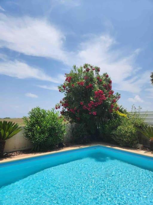 Budget Escape to the seaside