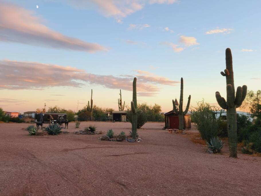 Western Tinyhouse, Ready For Summer Fun! view 2