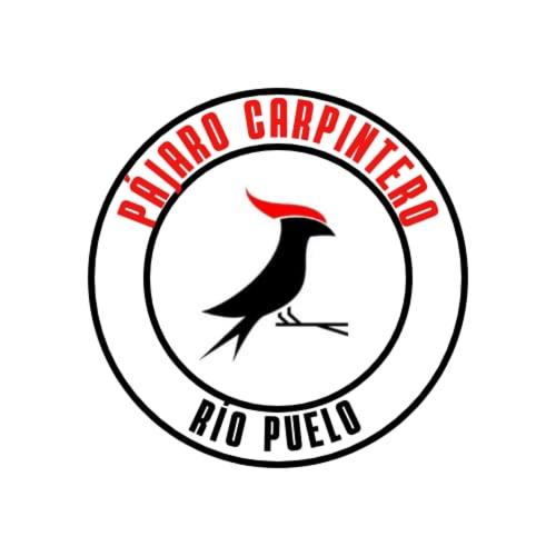 Pájaro Carpintero