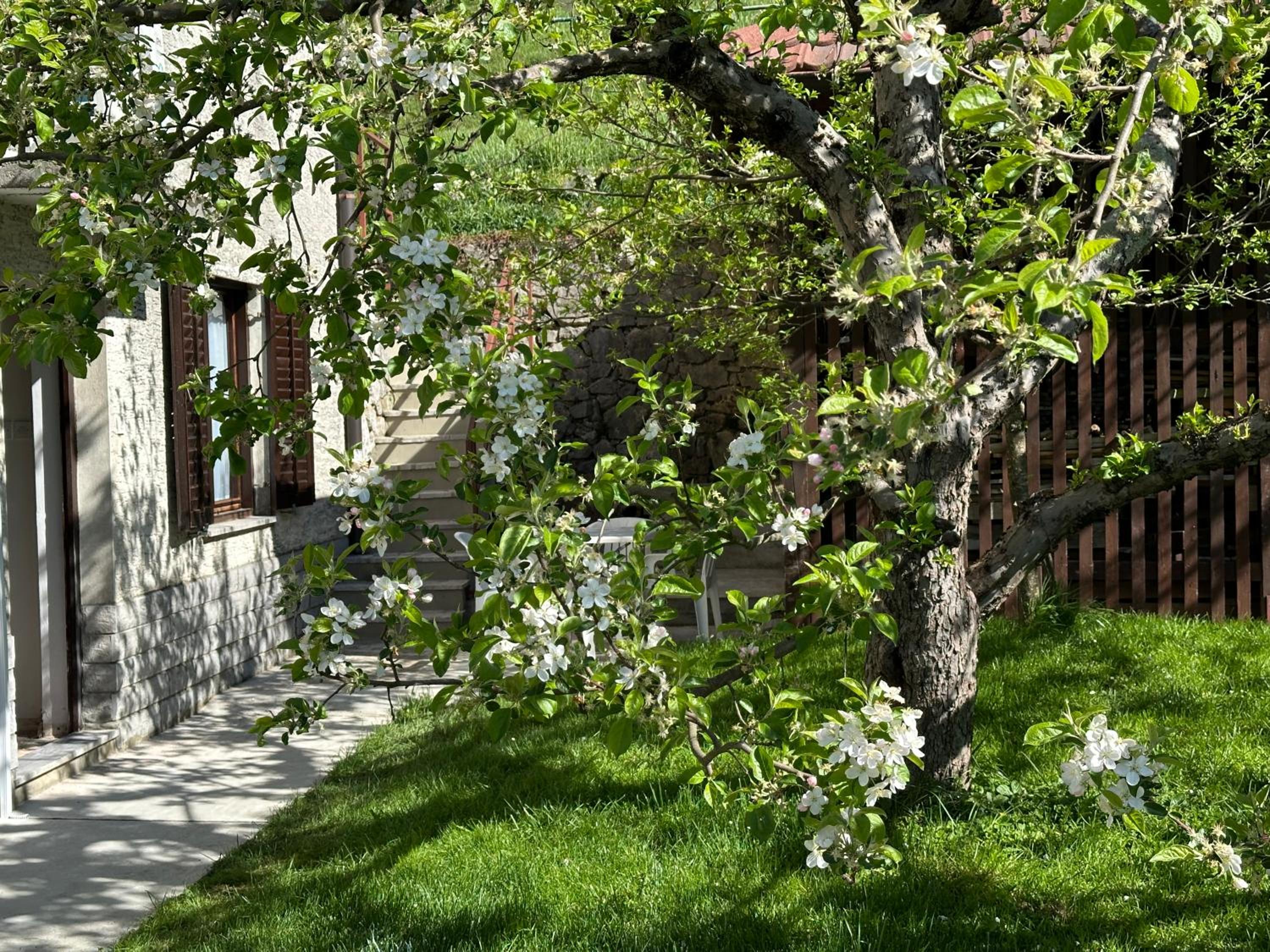 Sunny Hill Apartment