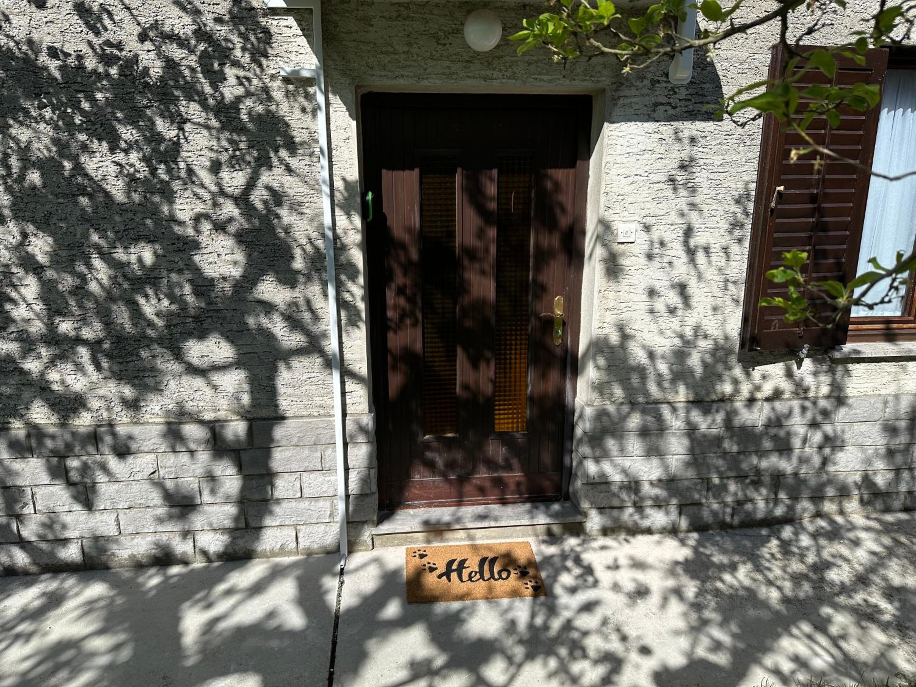 Sunny Hill Apartment