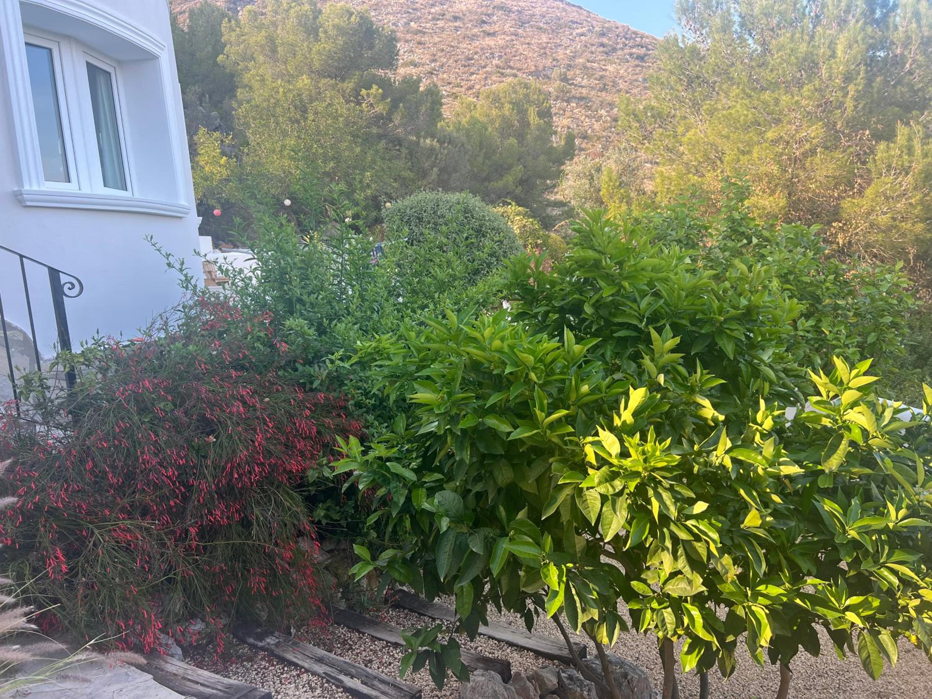 Appartement Paraíso 1