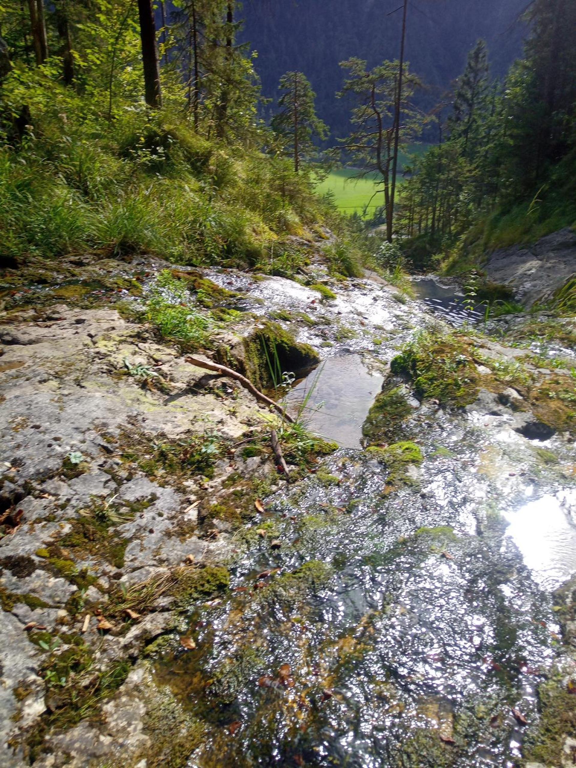 Appartement mit Hallenbad