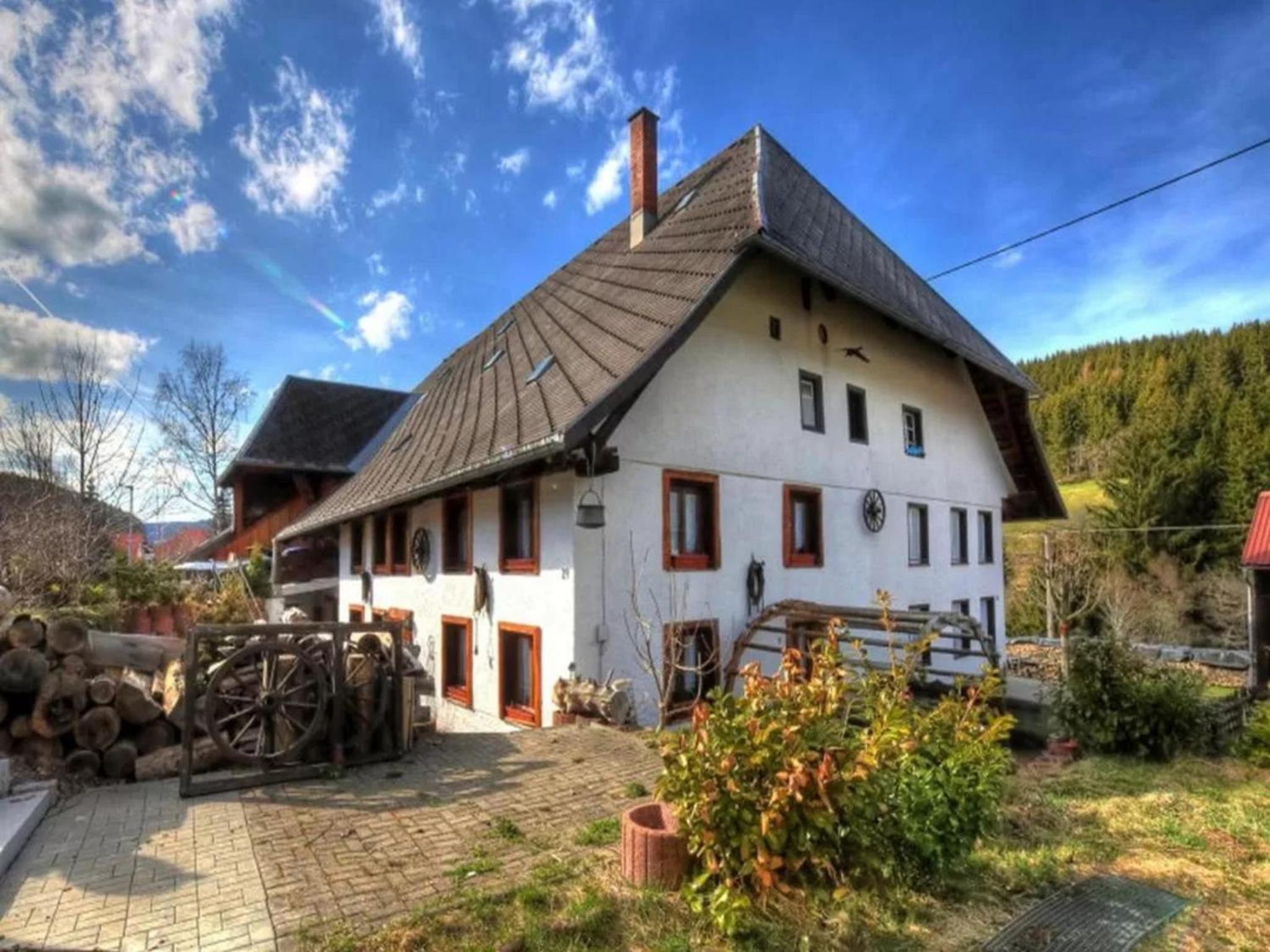 Schwarzwaldhaus Krebs - Villa Kunterbunt, Lenzkirch, Feldberg