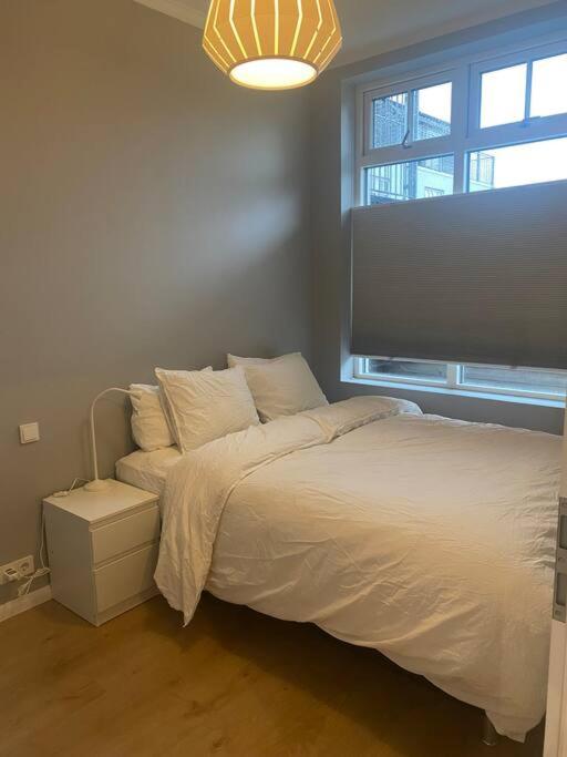 Modern Apt RVK City Center