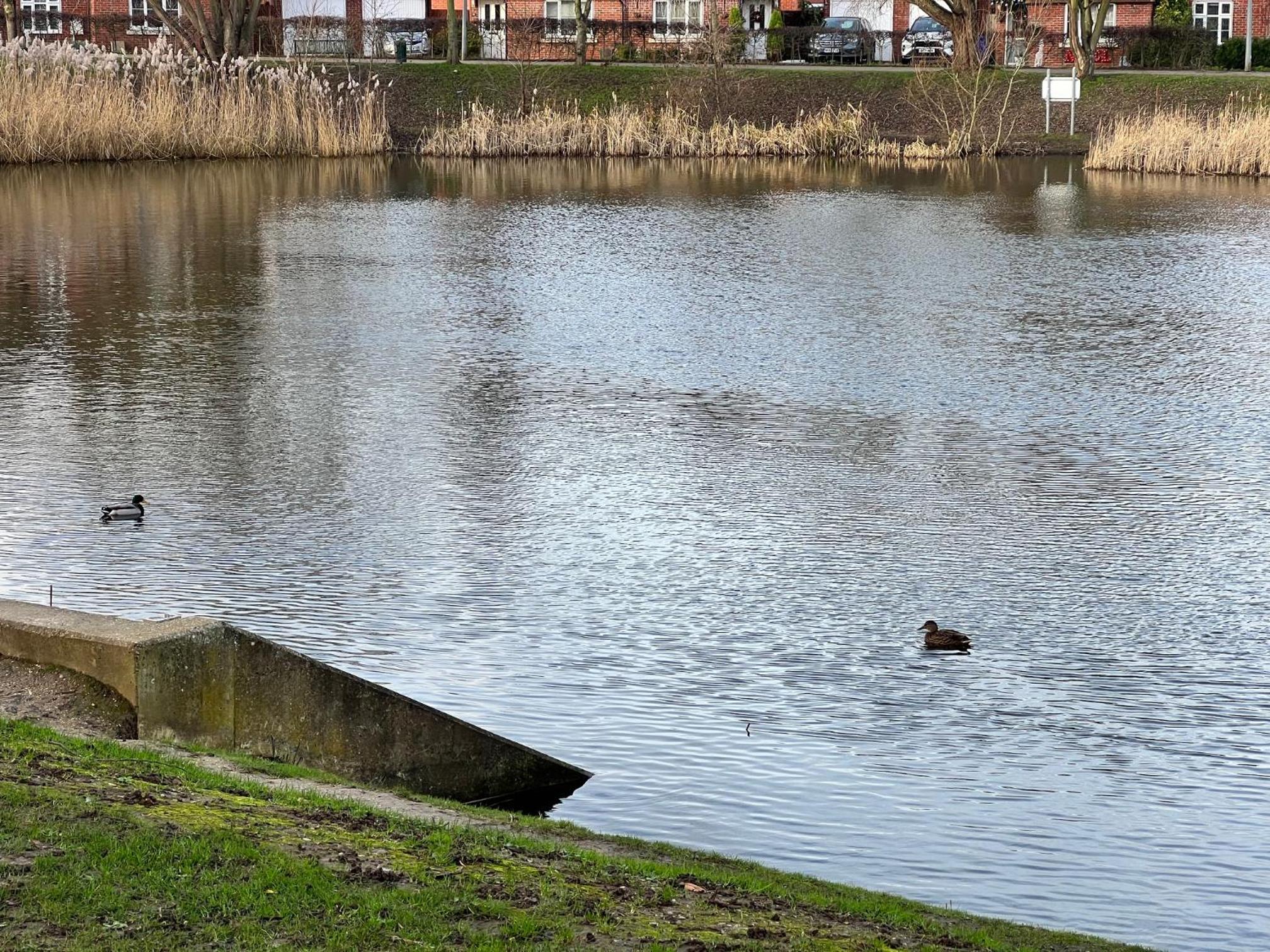 San Pedro Lodge Sittingbourne