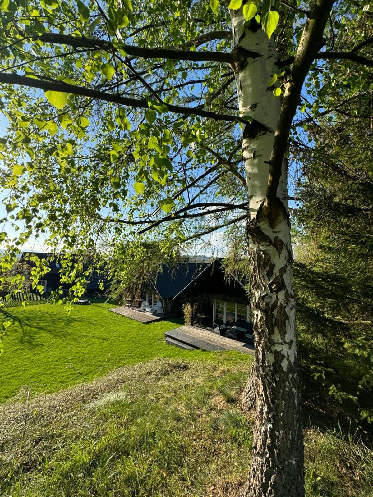 Photo 27
