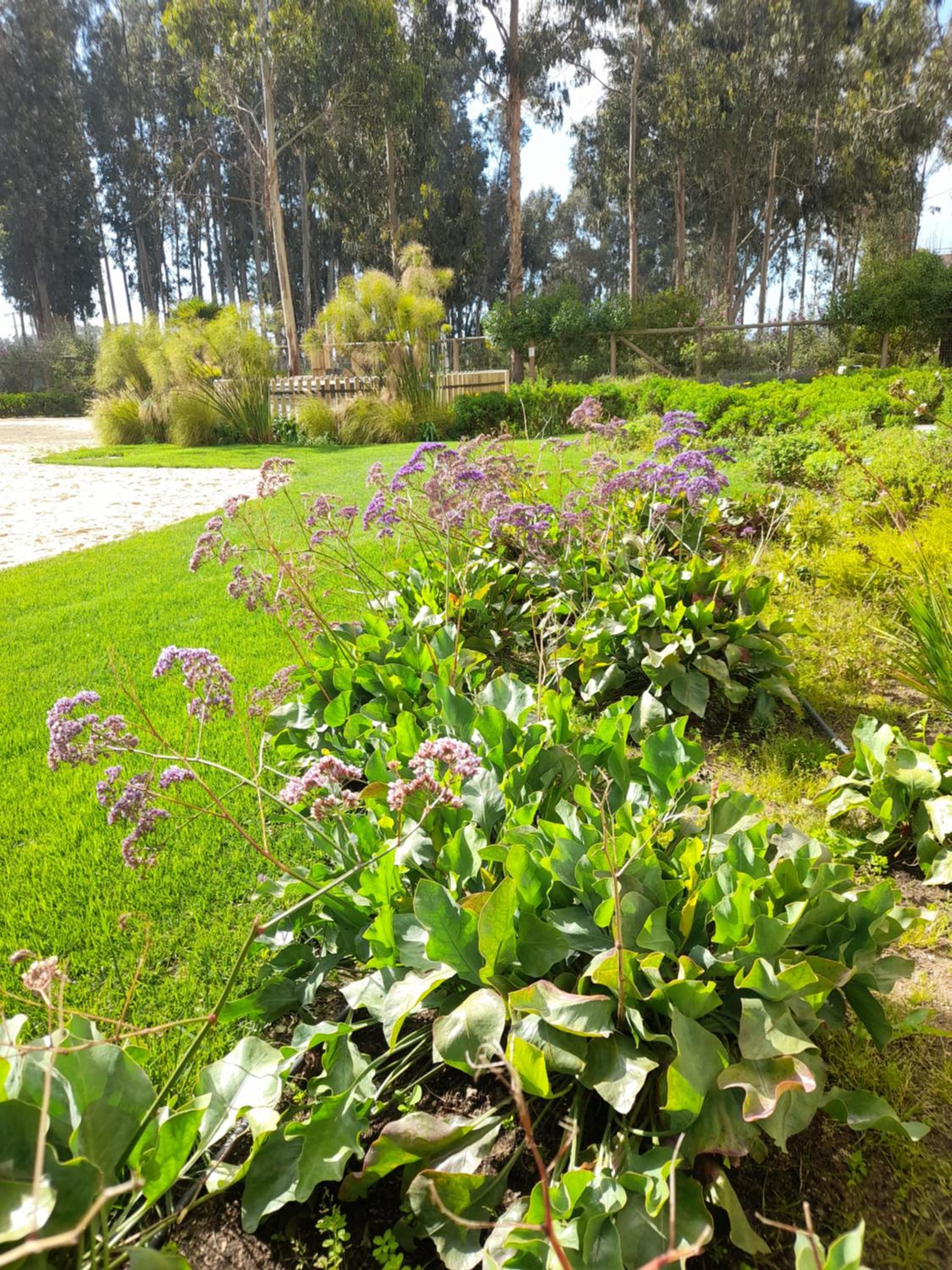 Hermoso departamento Algarrobo, cerca playa Mirasol