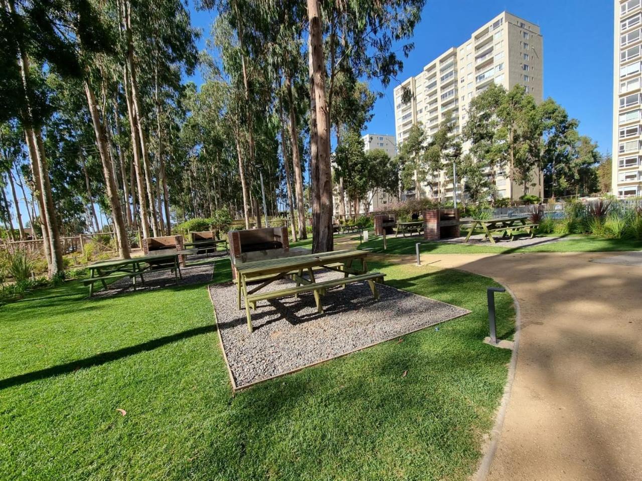 Hermoso departamento Algarrobo, cerca playa Mirasol