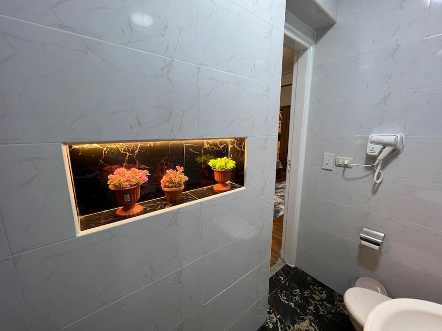 Luxury apartment Downtown Cairo