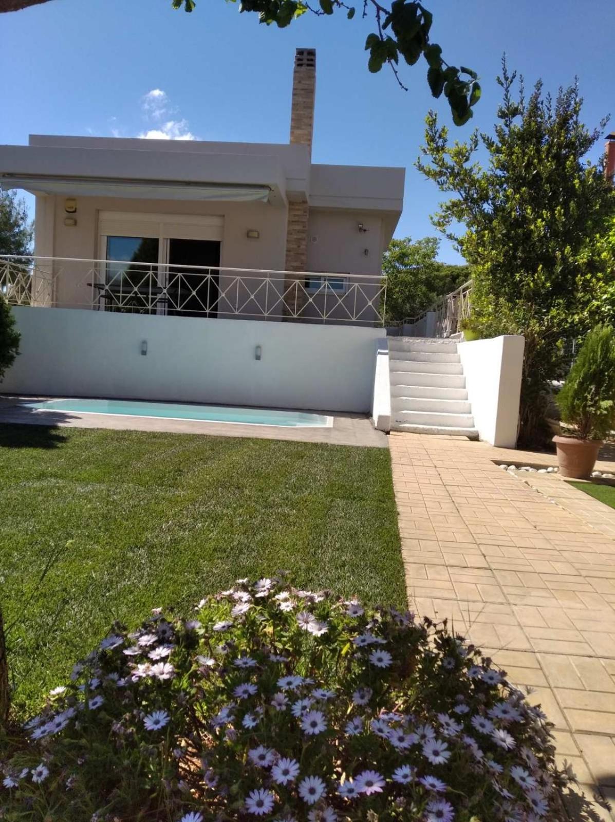 Cozy villa Vita Lagonisi photo 5