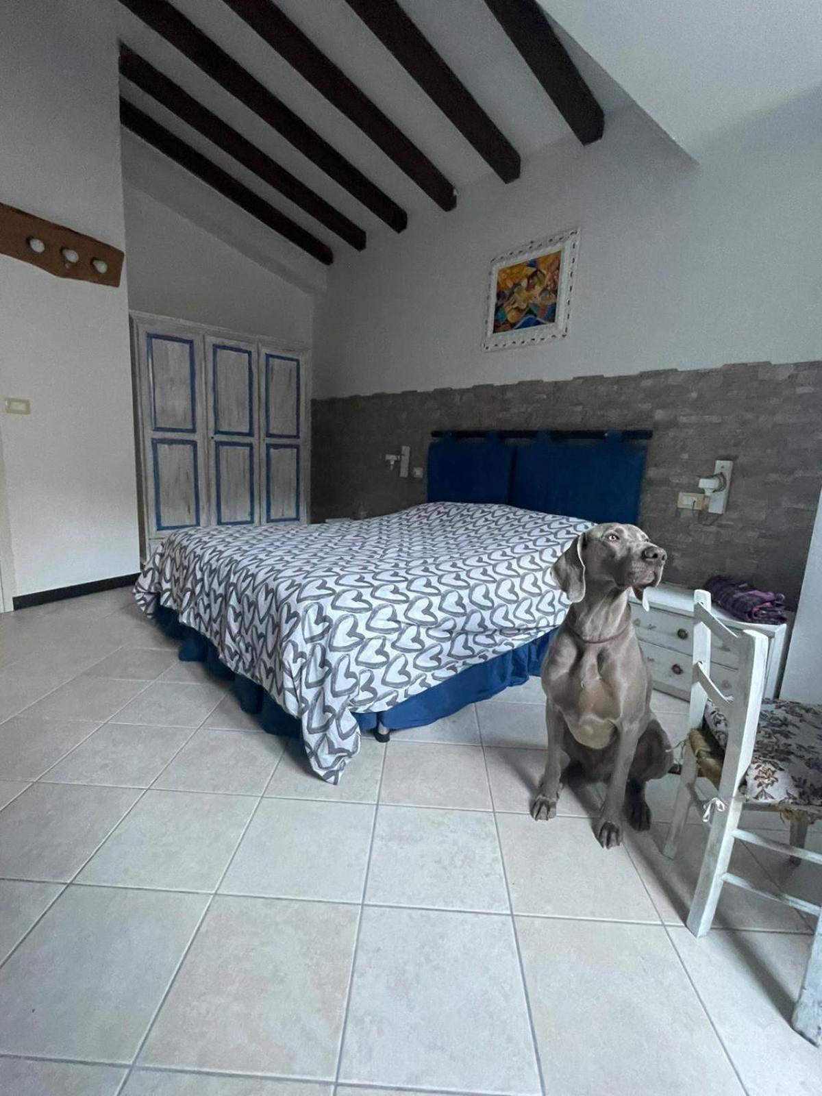 Il dolce dormire da Elisa e Giulia en Ranzo-Borgo — hotel room