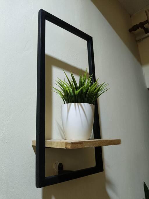 Healing Homestay
