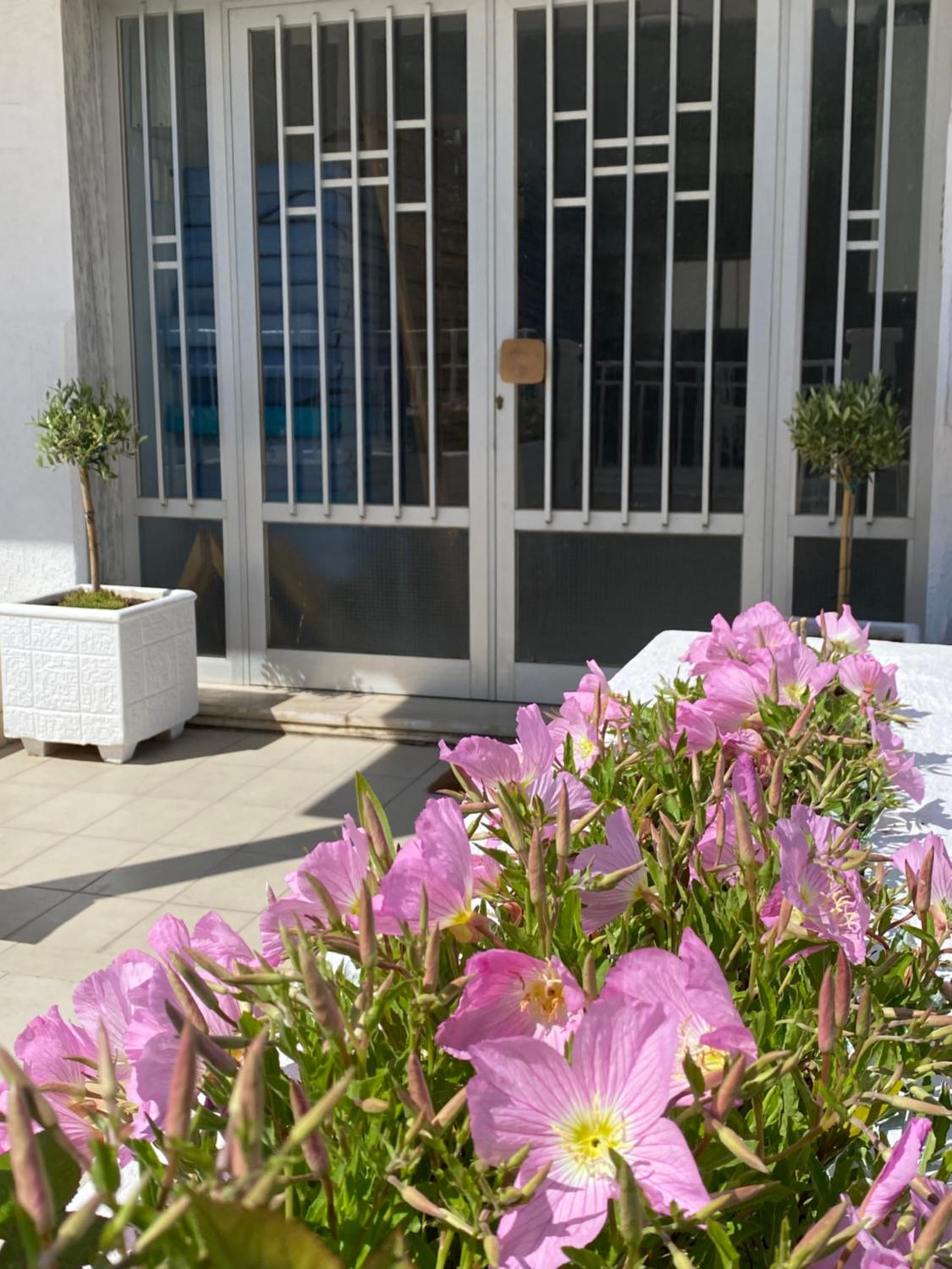 korali apartment