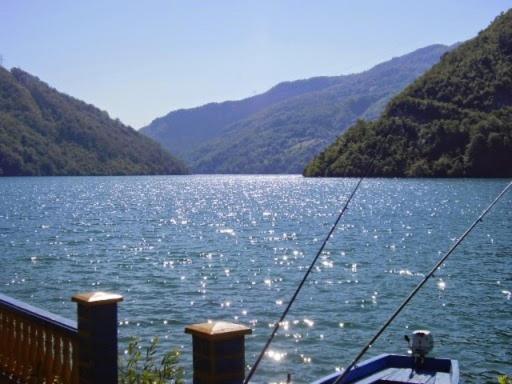 Zeleni Raj