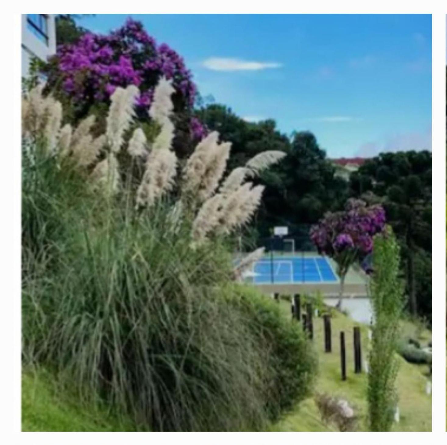 Carpe Diem Boutique - Piscina aquecida Páscoa!