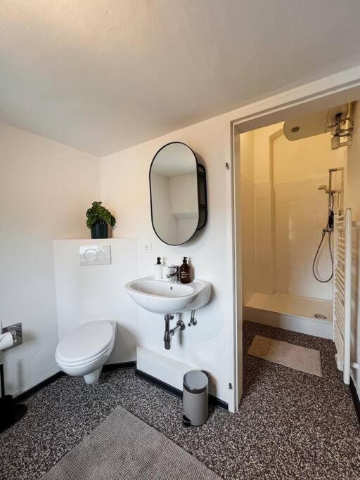 Stilvolle, zentrale Wohnung