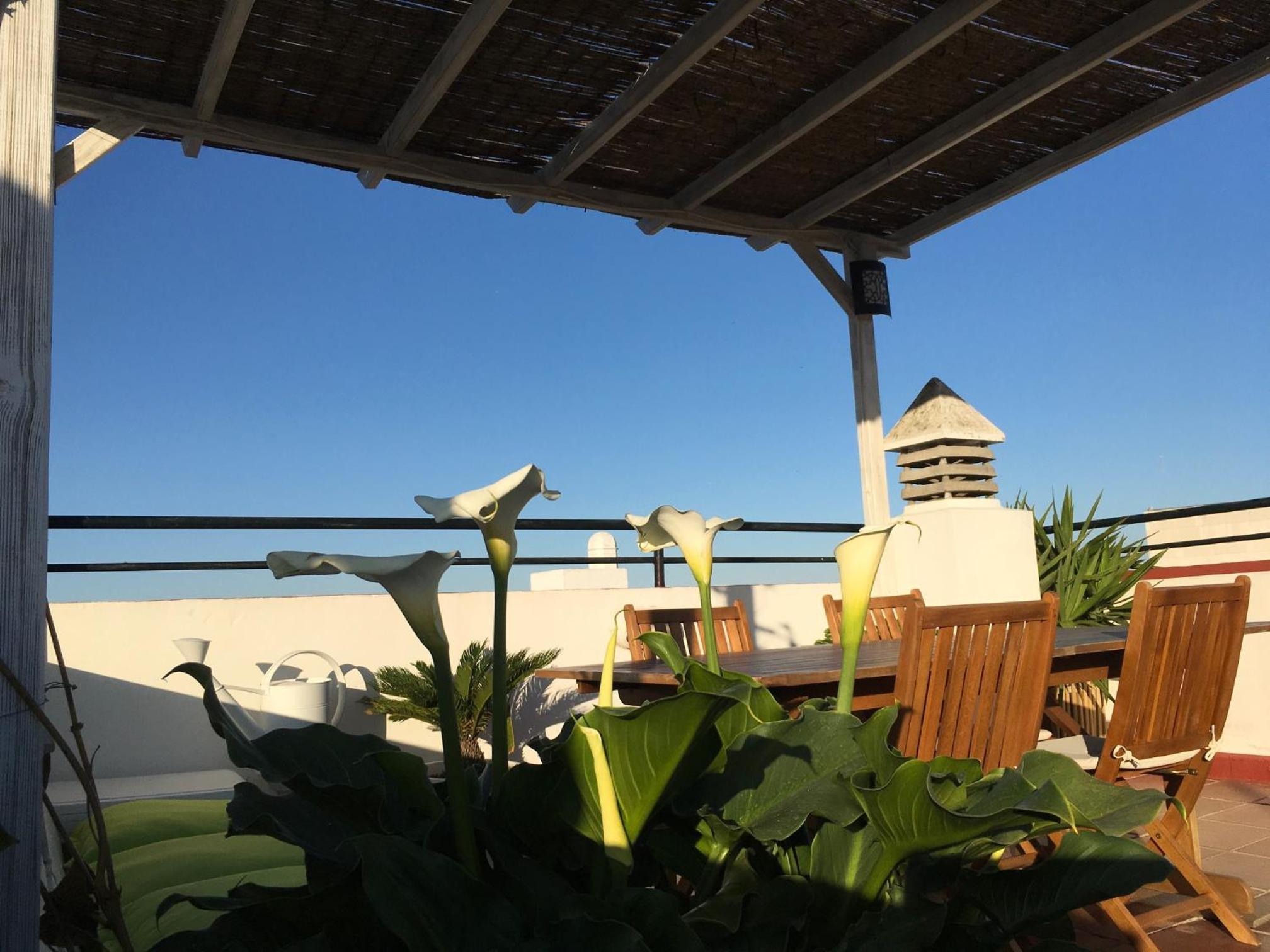 Ático con terraza privada en casa Palacio del Centro Histórico
