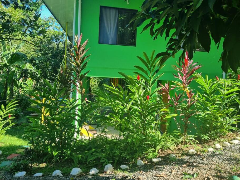 Peyo’s House (Swimming Pool,Wi-Fi,BBQ,Board Games)