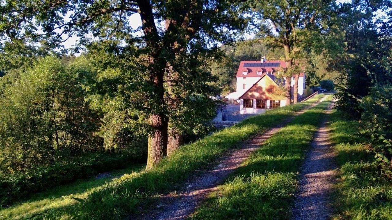 Mlýn Mitrovice