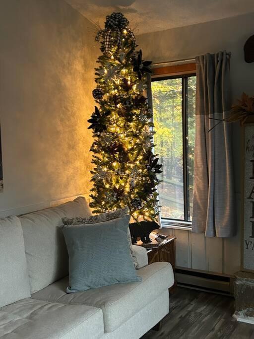 Cozy Cabin Walkable to Beech Mt Resort