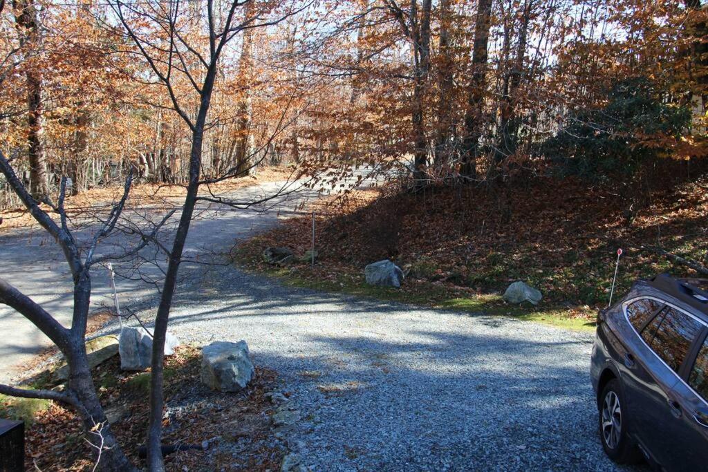Cozy Cabin Walkable to Beech Mt Resort