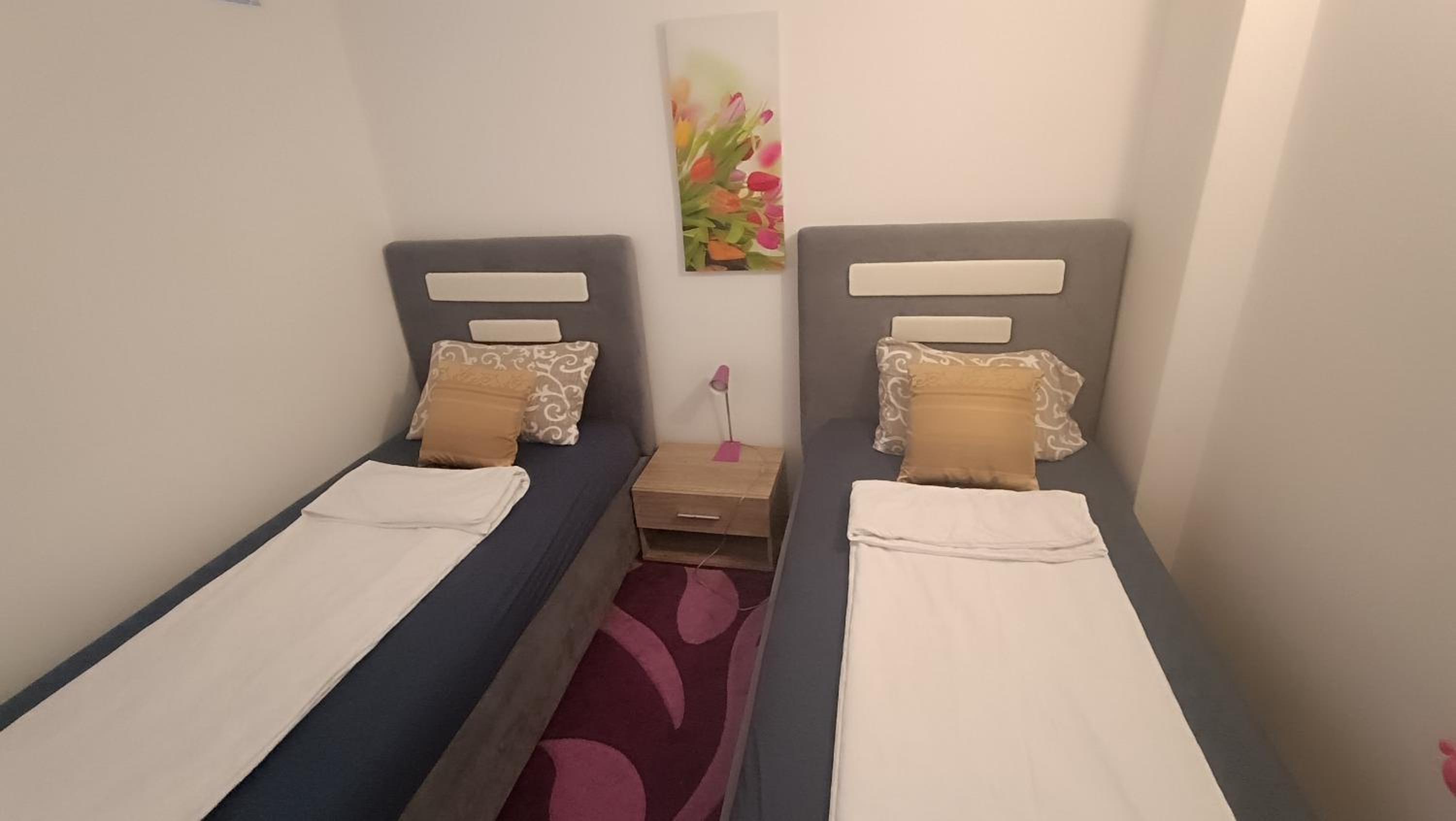 Ferhadija Apartment