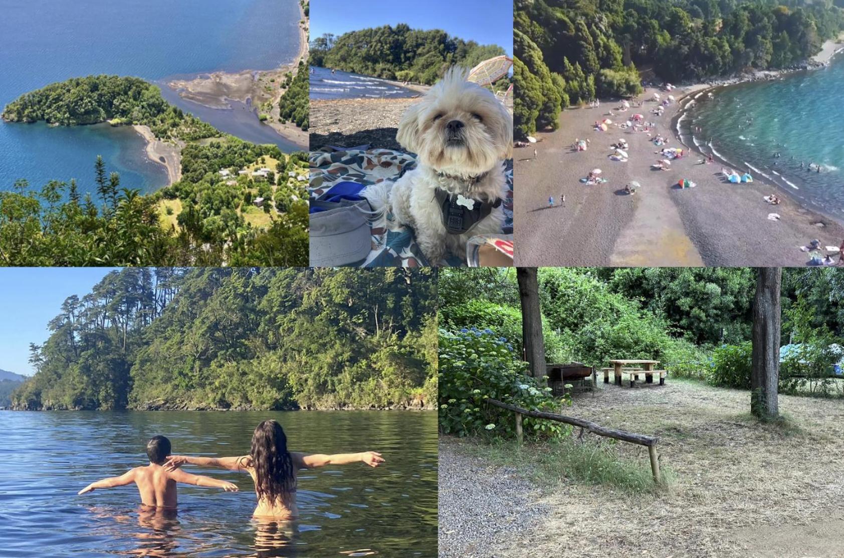Ecocamping Ñisoleufu