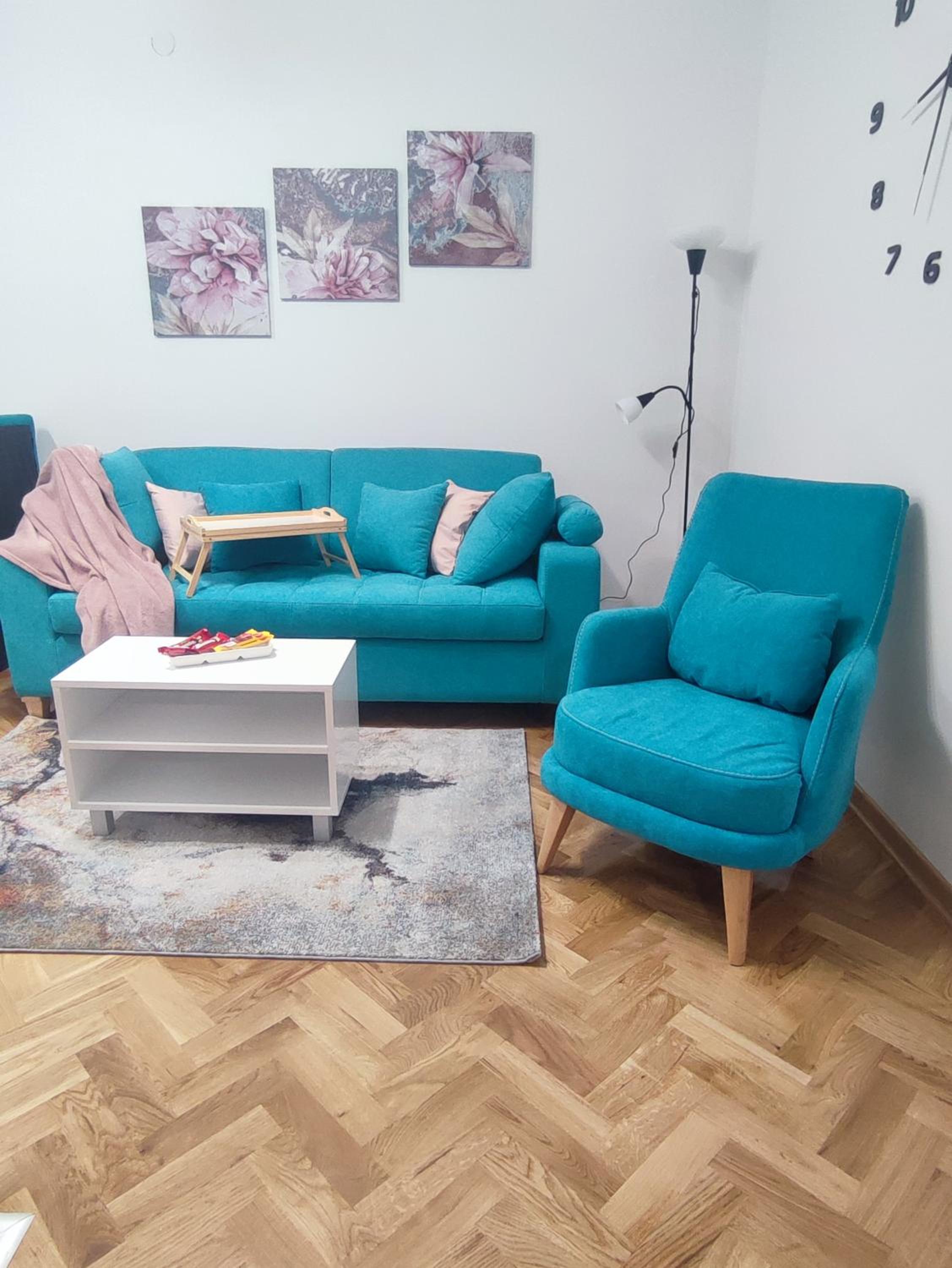Apartman PINA Vrnjacka Banja view 3