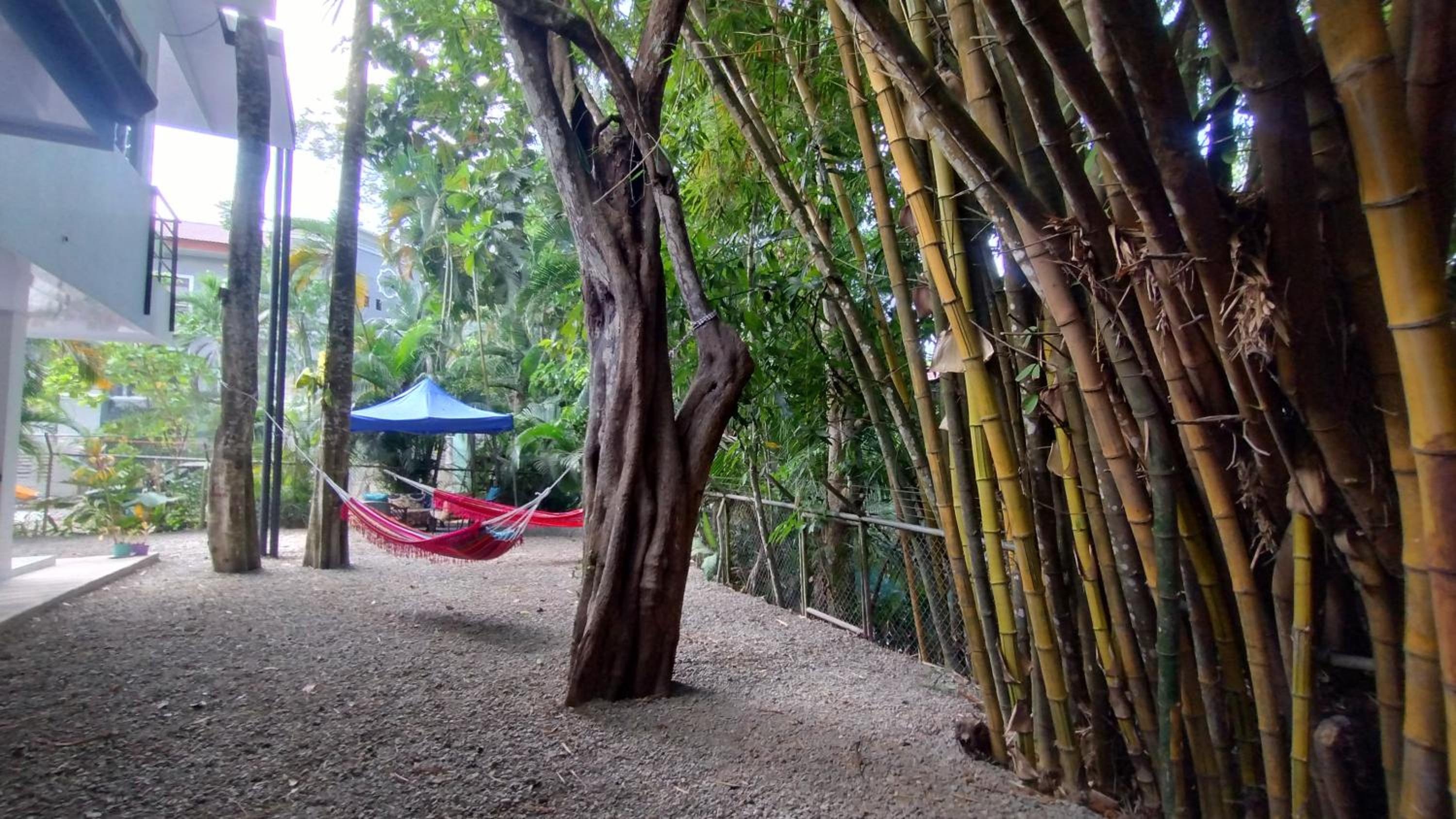 Casajungla Hostel