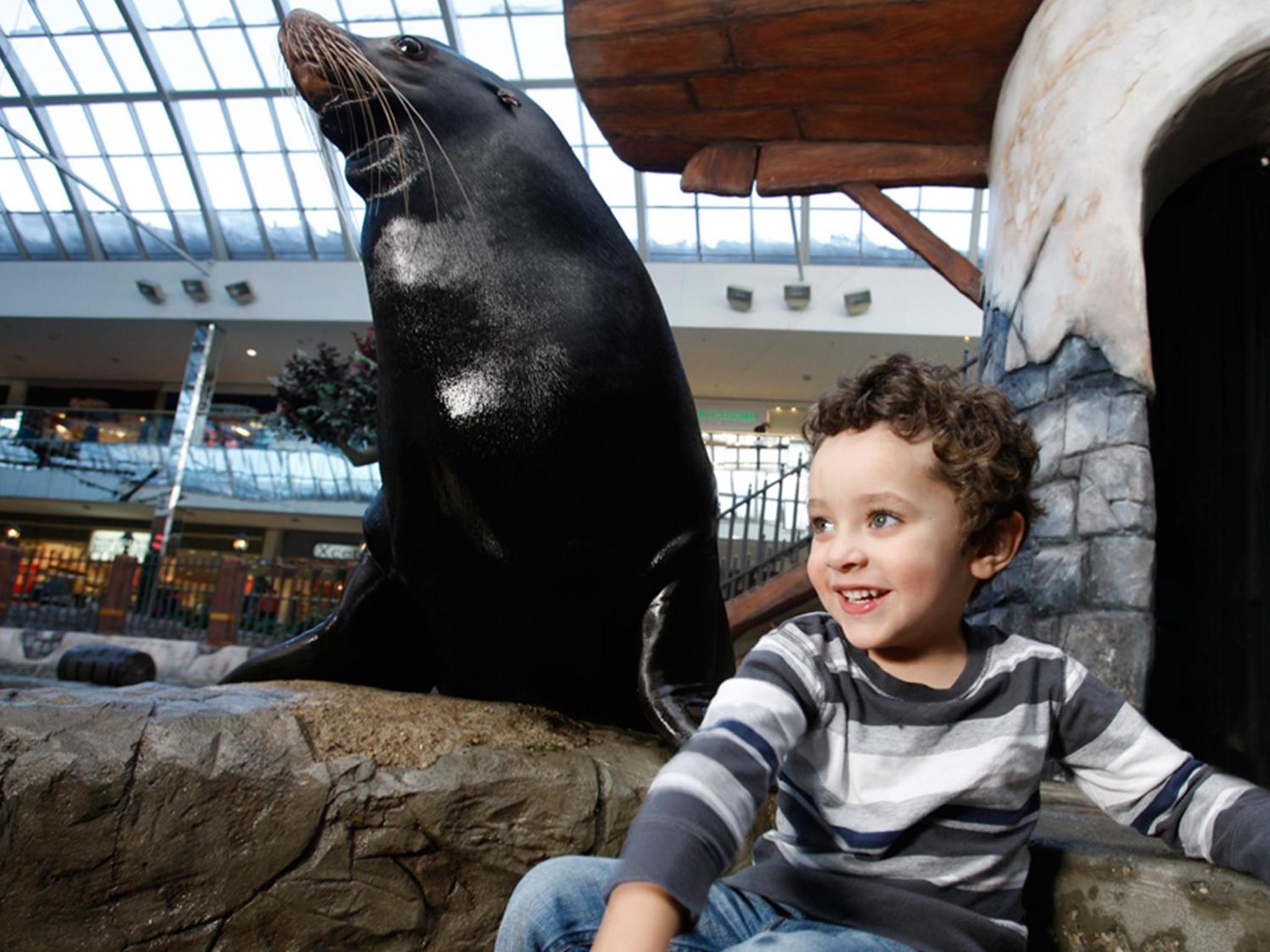 West Edmonton Mall Inn - Image 2